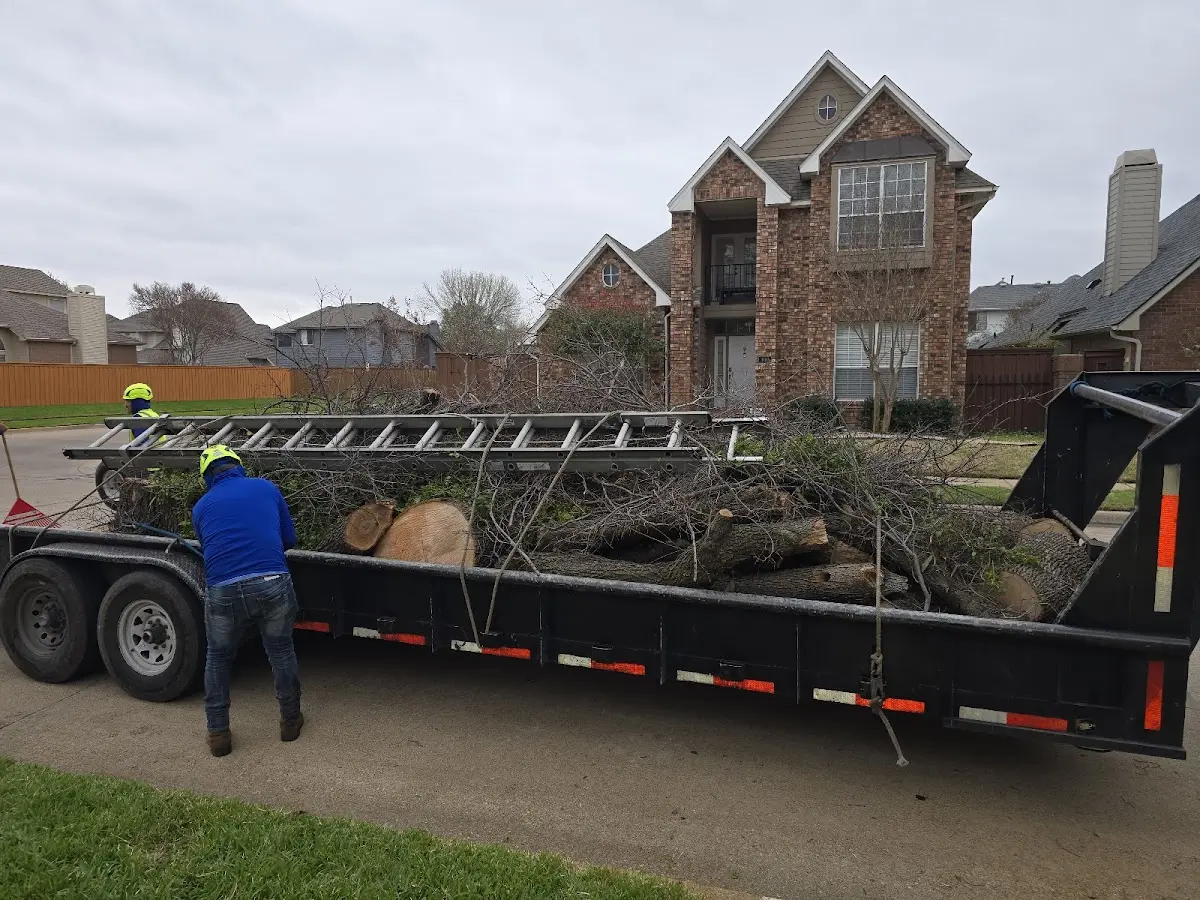 Expert Tree Pest Control with proper safety equipment in Lincoln Park